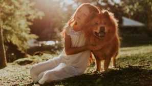 Kako prepričati starše, da kupijo psa: praktični nasveti